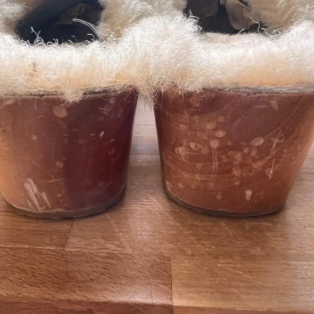 UGG cozy australia